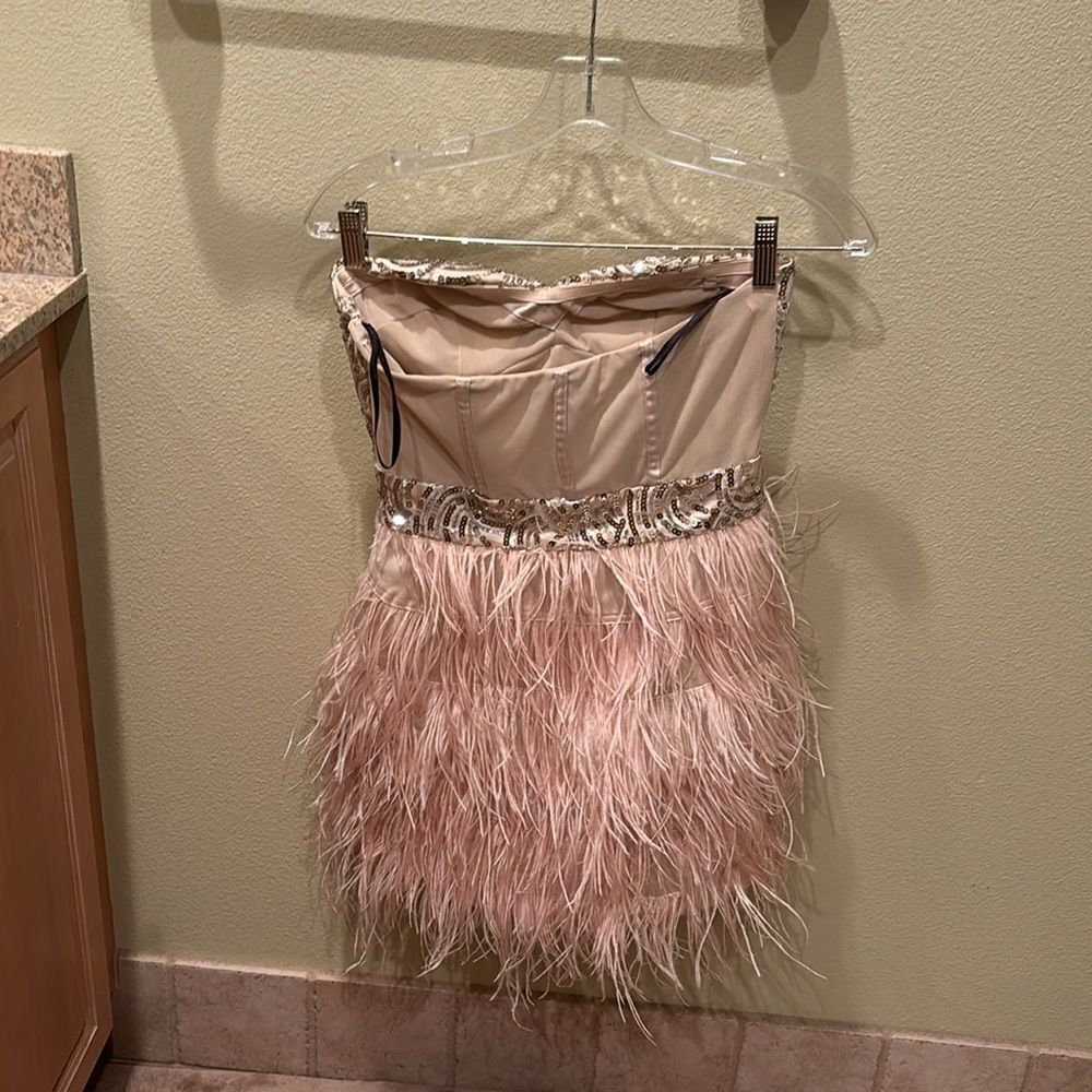 Bebe strapless fringe and sequin dress. Top is gold and the fringe is light pink - Picture 8 of 11